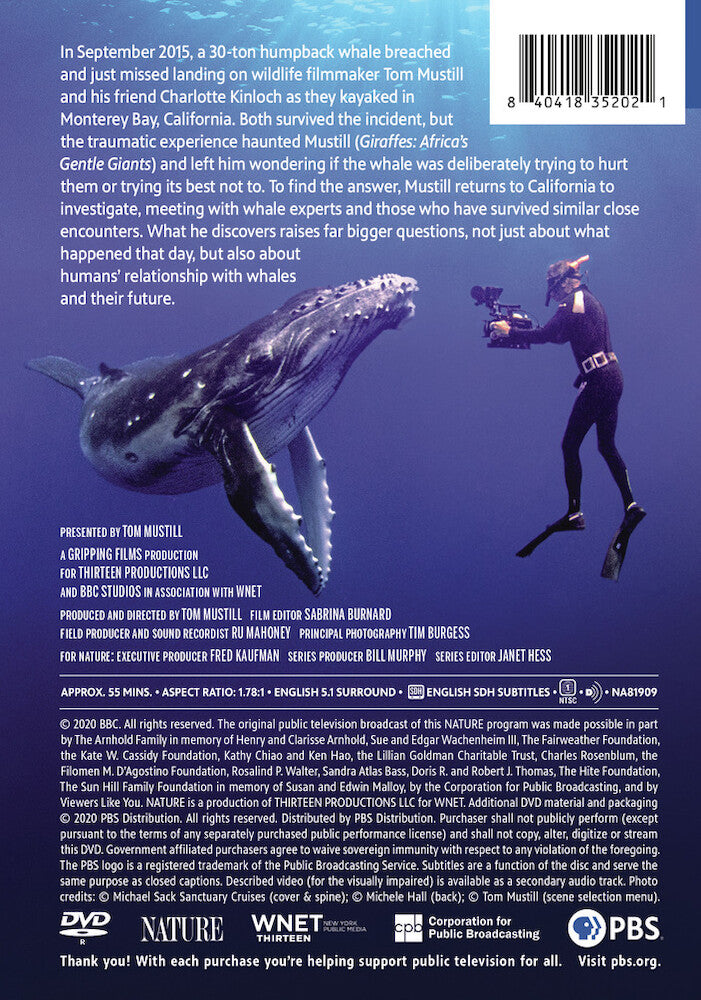 Nature: The Whale Detective - Back Panel - 