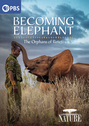 Nature: Becoming Elephant - The Orphans of Reteti - 