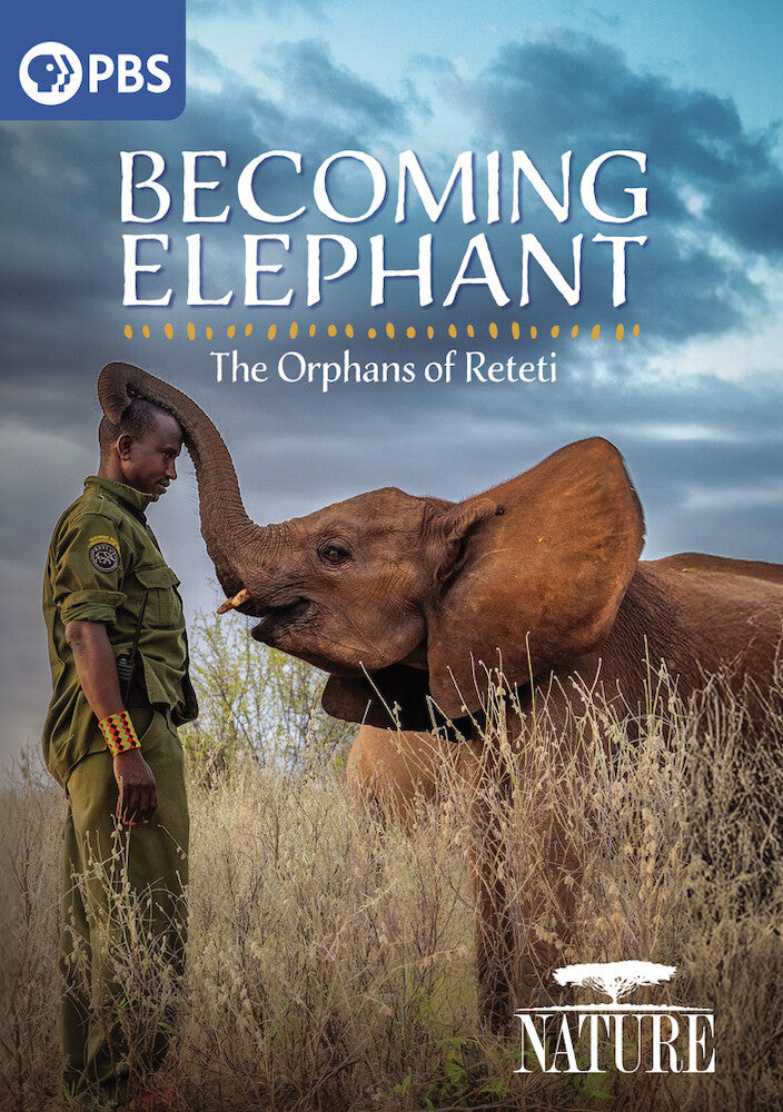 Nature: Becoming Elephant - The Orphans of Reteti - 