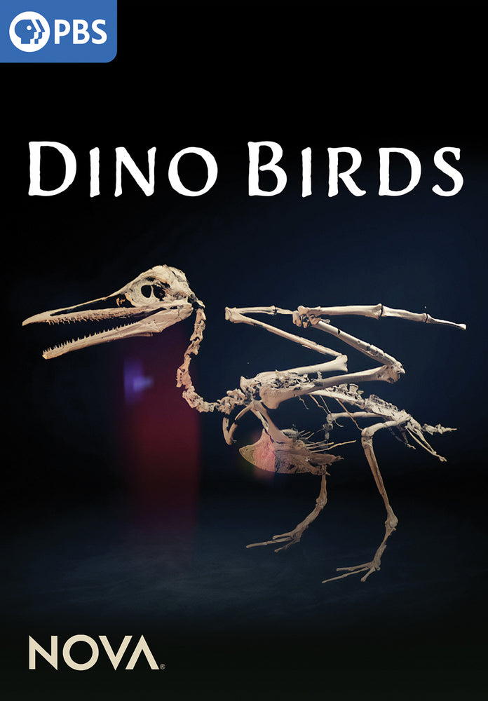 NOVA: Dino Birds - 