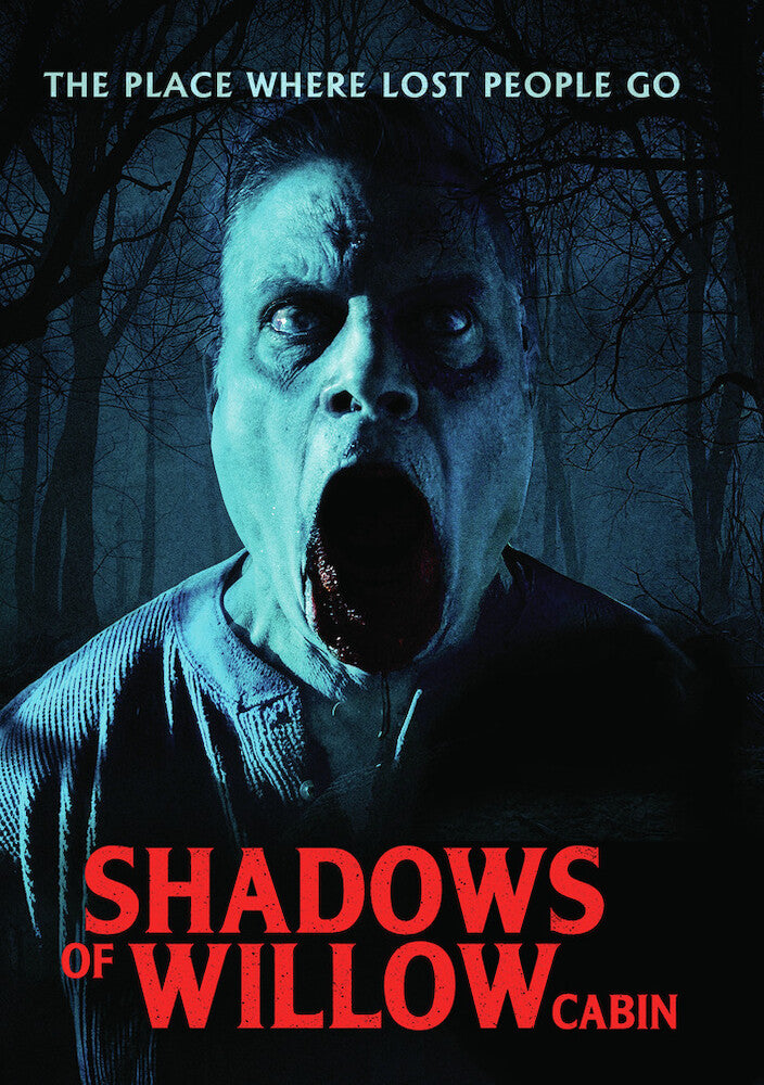 Shadows of Willow Cabin - 