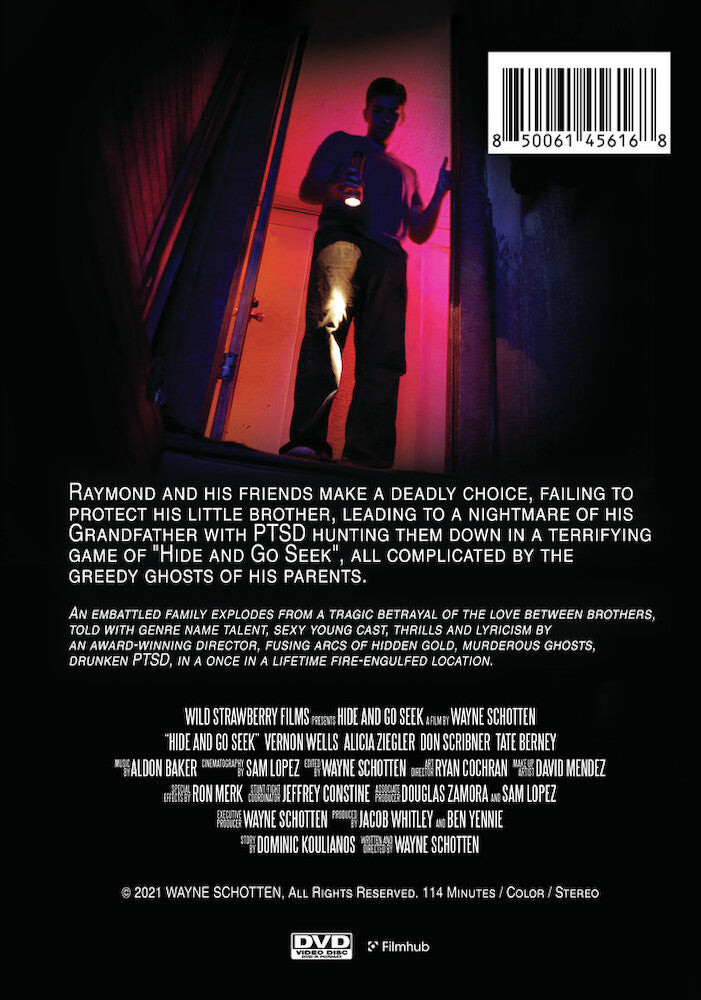 hide and go seek - Back Panel - DVD