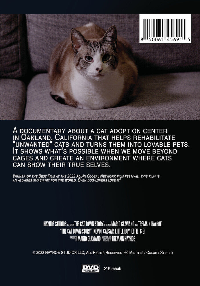 the cat town story - Back Panel - DVD