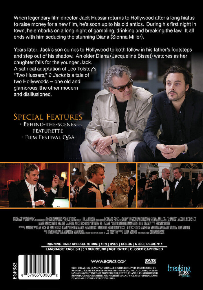 2 jacks - Back Panel - DVD