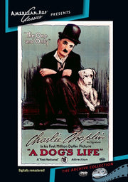 A Dog's Life - 