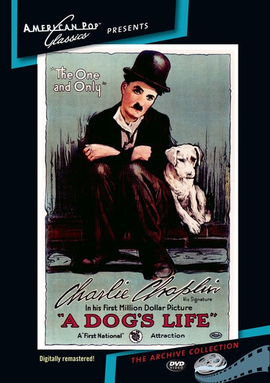 A Dog's Life - 