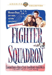 Fighter Squadron - 