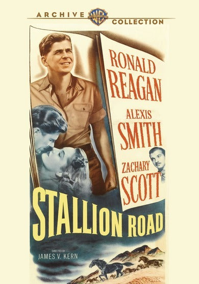 Stallion Road - 
