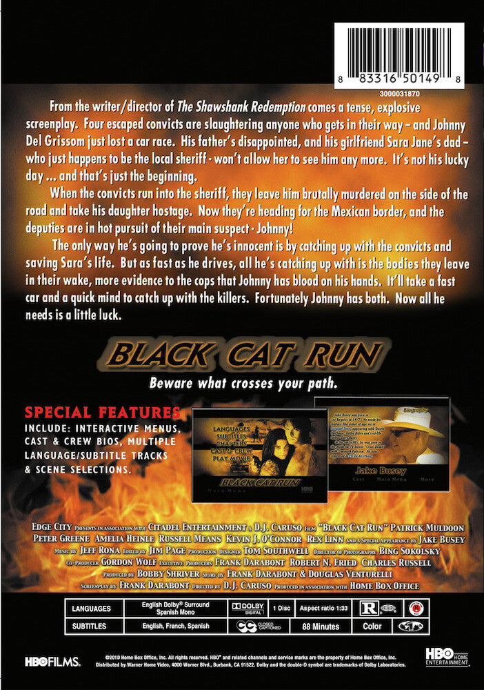 black cat run - Back Panel - DVD