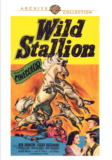 Wild Stallion - 