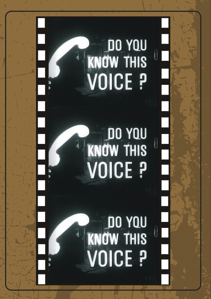 Do You Know This Voice? - 
