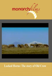 Locked Horns: The Fate of Old Crow - 