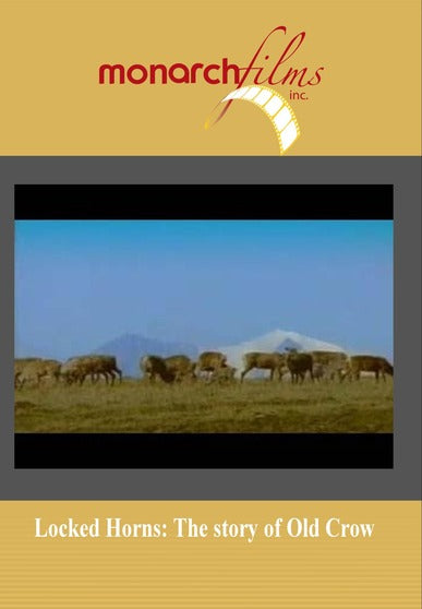 Locked Horns: The Fate of Old Crow - 