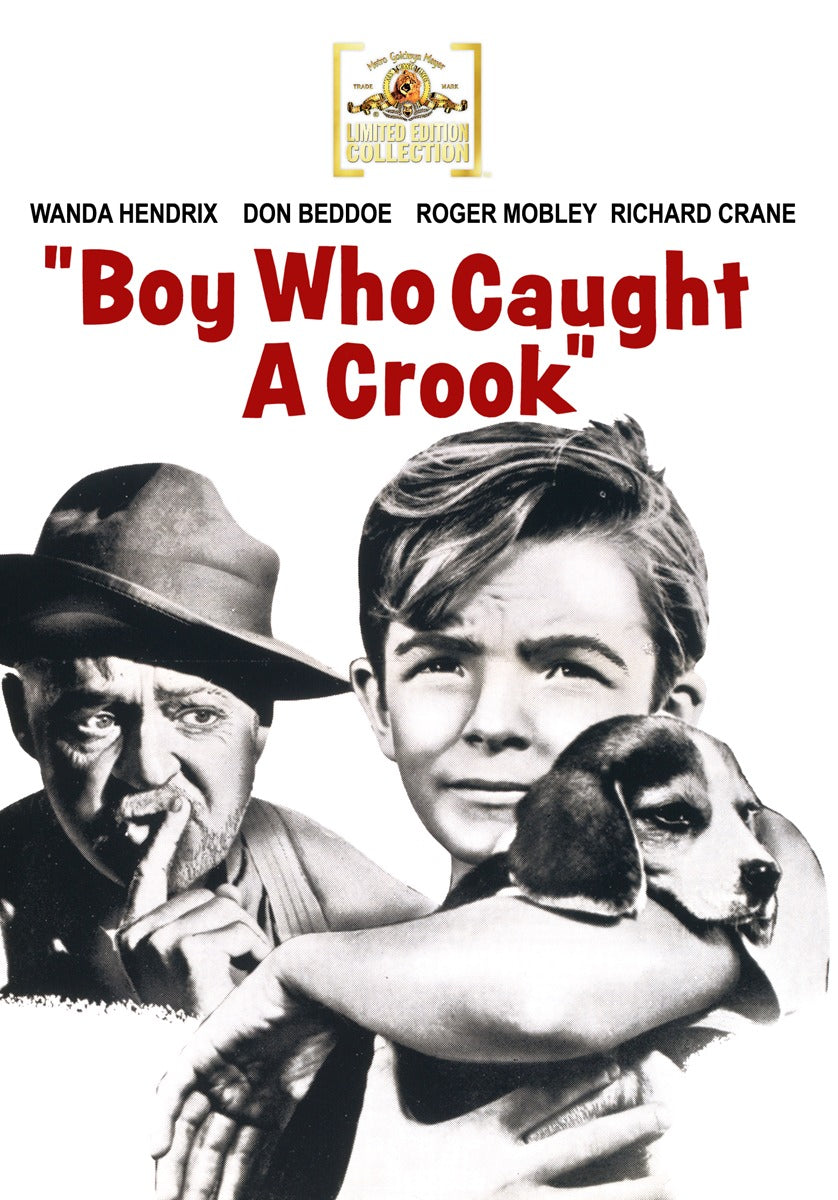 Boy Who Caught A Crook - 