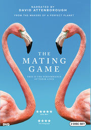 The Mating Game YR 1 - 