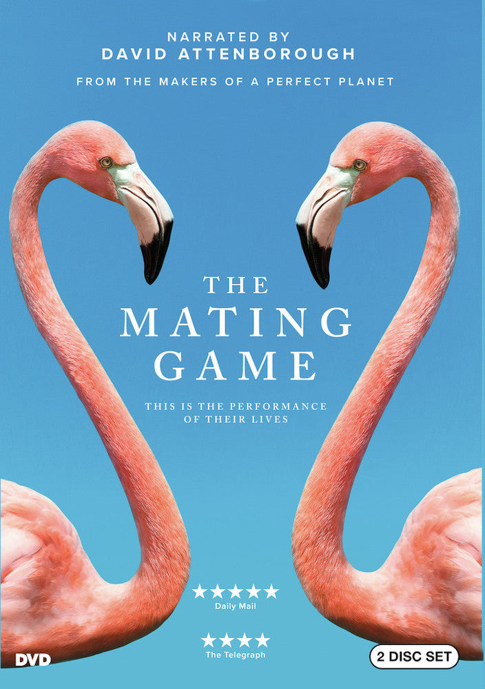 The Mating Game YR 1 - 
