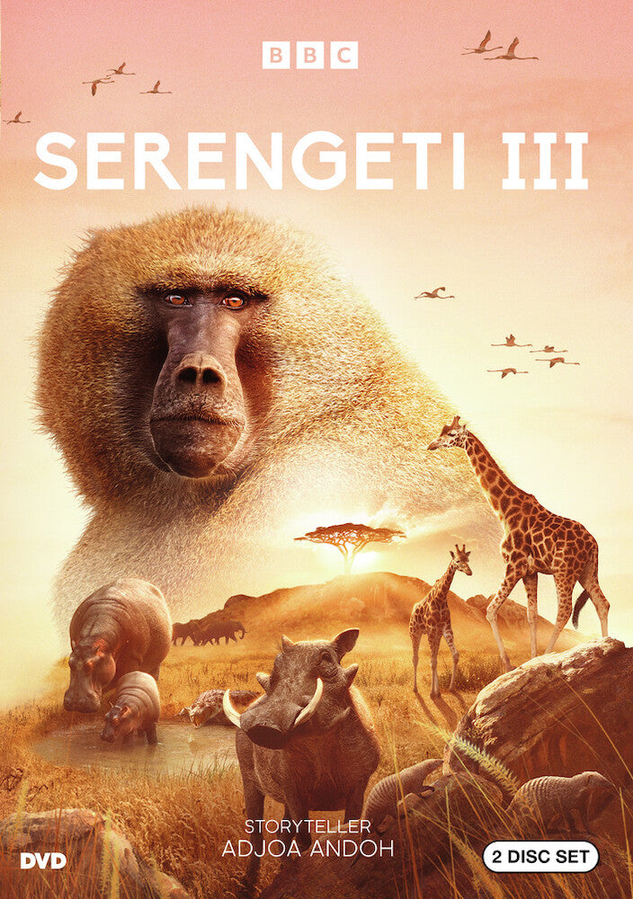 serengeti year 3 - DVD