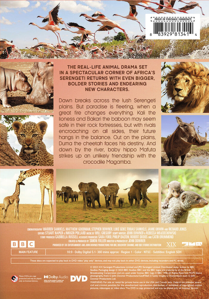 serengeti year 3 - Back Panel - DVD