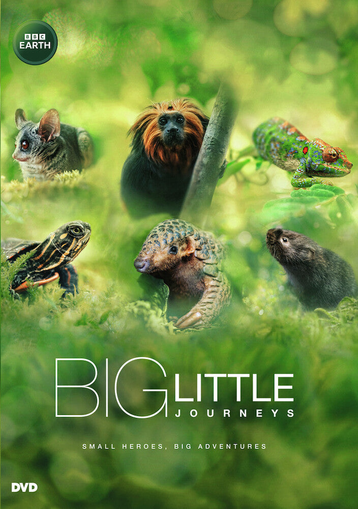 big little journeys - DVD