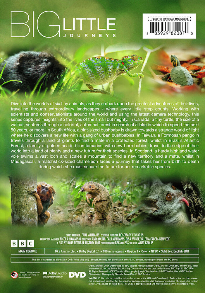 big little journeys - Back Panel - DVD