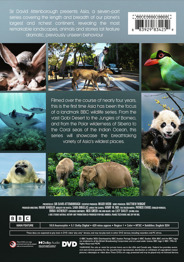 asia - Back Panel - DVD