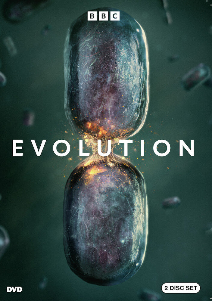Evolution - 