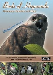 Birds of Hispaniola - 