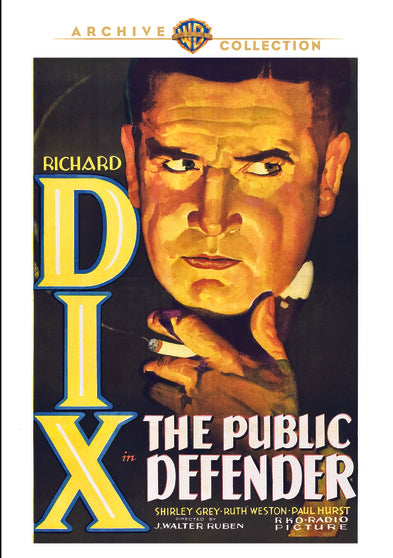 Public Defender - 