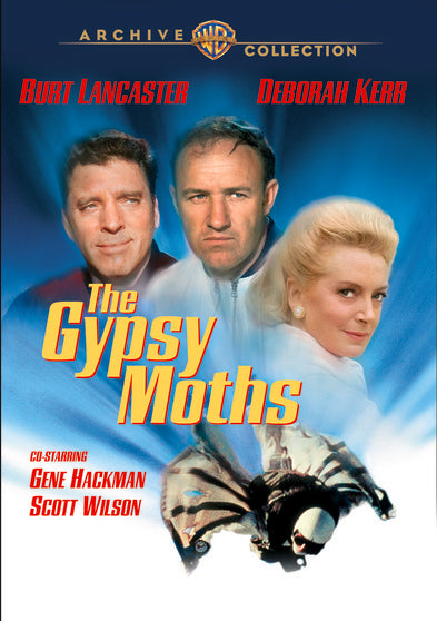 Gypsy Moths - 