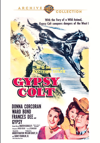 Gypsy Colt - 
