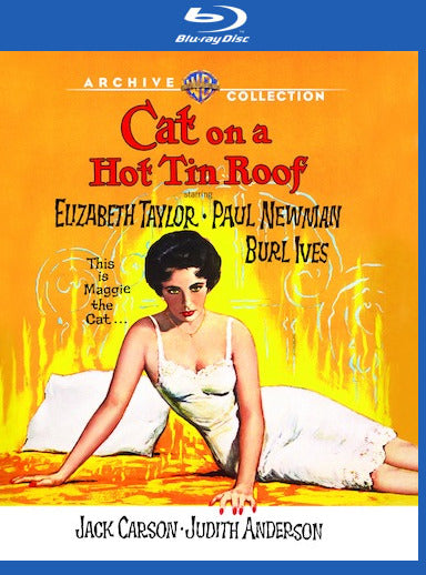 Cat On A Hot Tin Roof - 