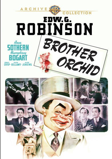 Brother Orchid - 