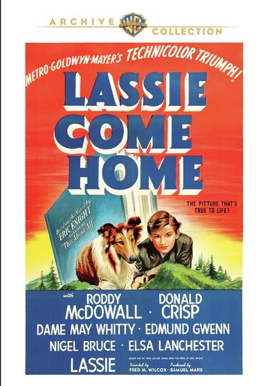 Lassie Come Home - 