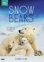 Snow Bears (MOD) - 