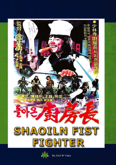Shaoiln Fist Fighter - 
