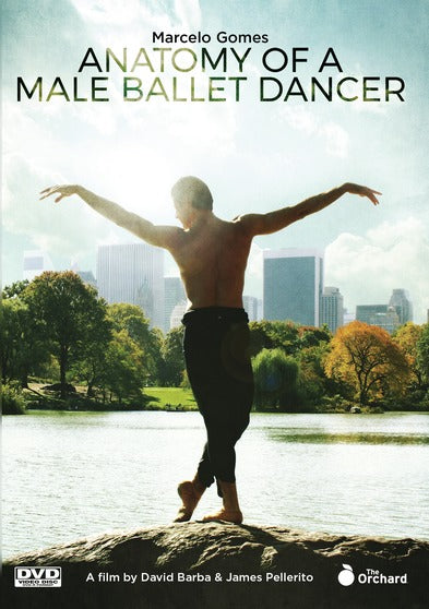 Anatomy of a Male Ballet Dancer - 