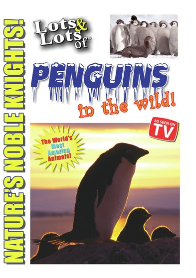 Lots & Lots of Penguin in the Wild - Nature's Noble Knights - 