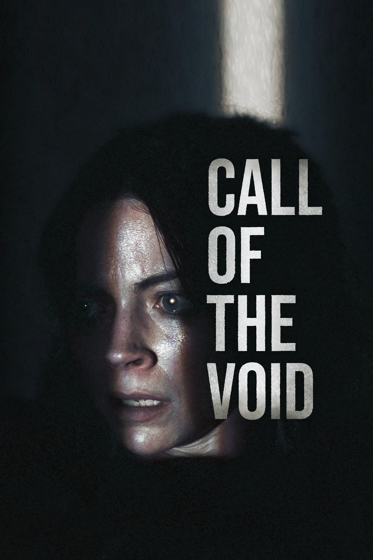 Call of the Void cover art