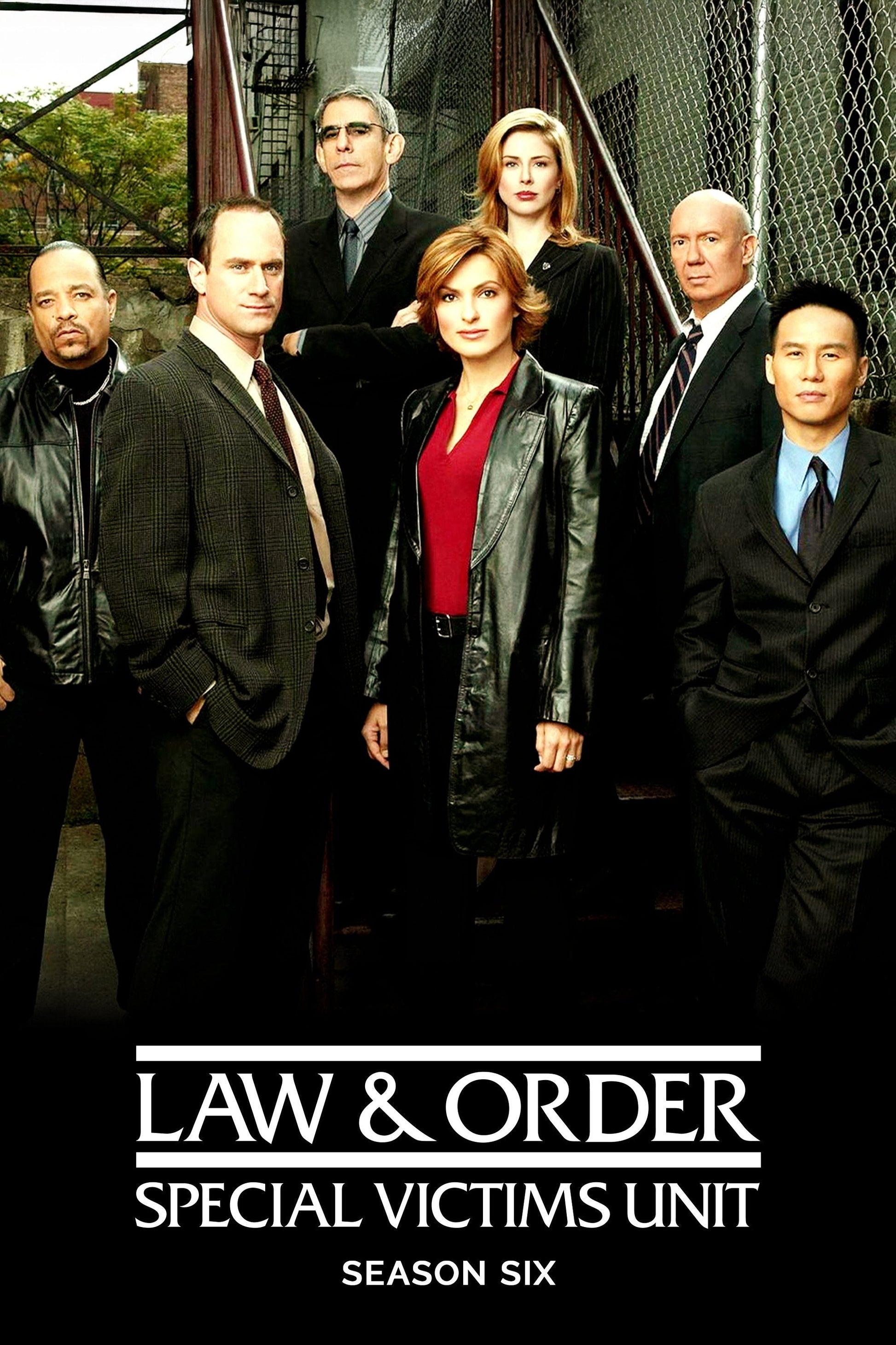 Law & Order: Special Victims Unit Season 6 cover