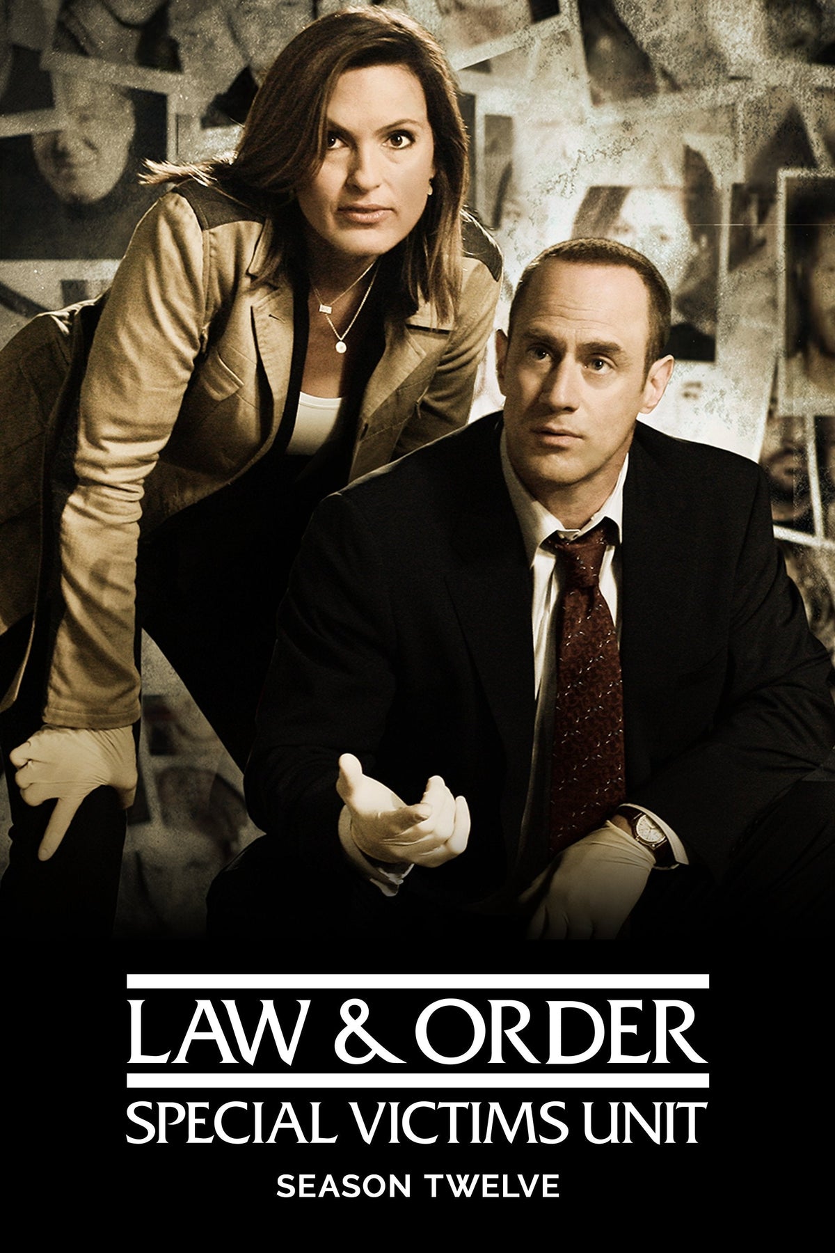Law & Order: Special Victims Unit Season 12 cover